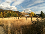 Photo Contest Winner!